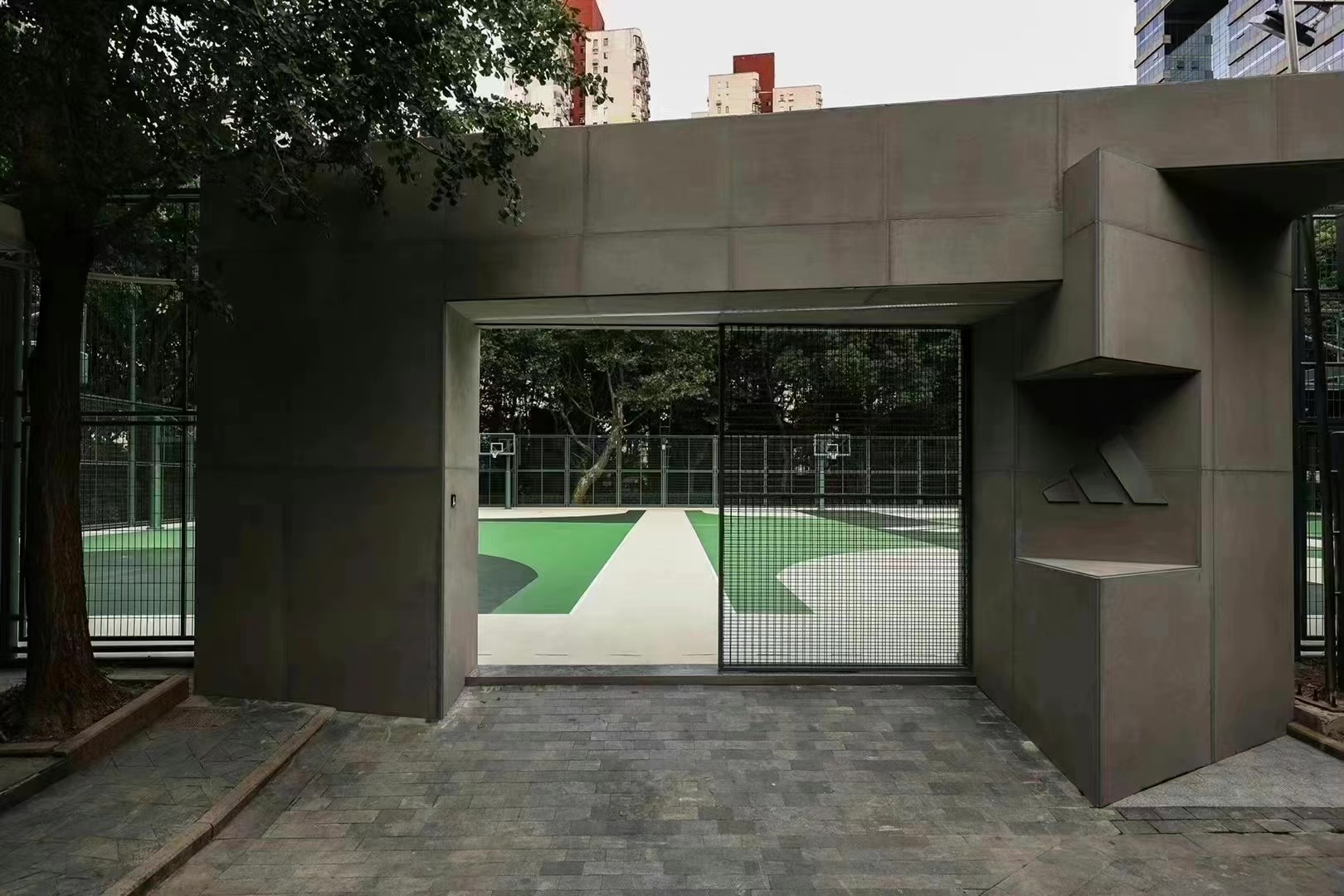 我们每天坚持的运动是为了什么,我们每天坚持运动是为了什么