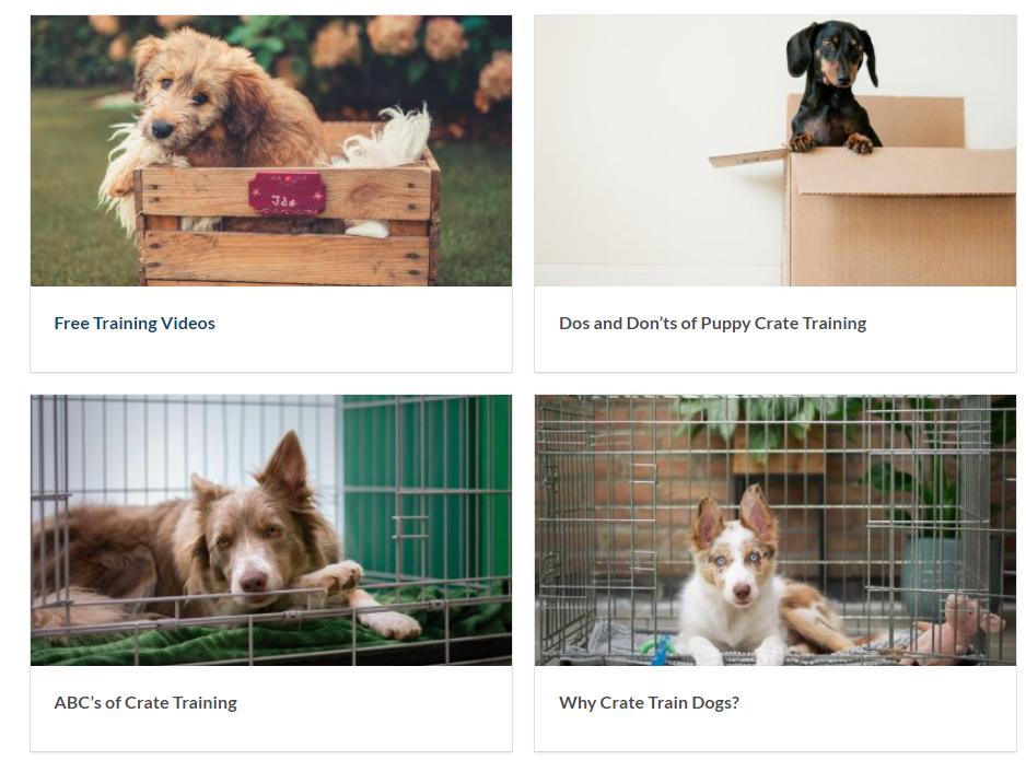 2022跨境电商大卖排名,跨境电商销量榜首