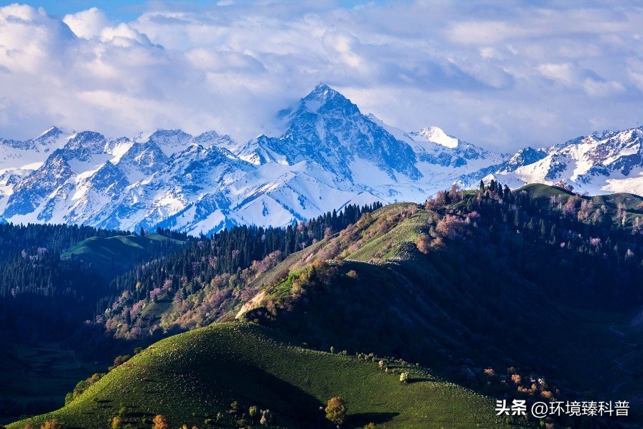 盘点中国拥有的14项世界自然遗产，是否有你的家乡