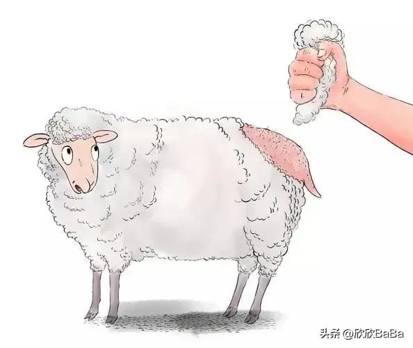 夫妇入职300家公司骗薪,夫妻入职300家公司骗工资60万