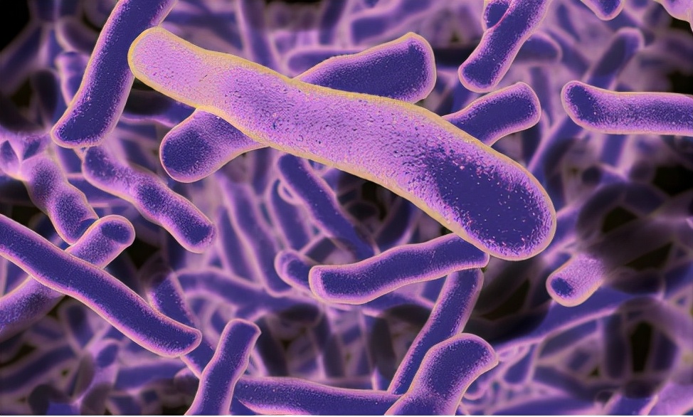 两性霉素b跟哪种药类似的,两性霉素b是tdm的抗真菌药吗