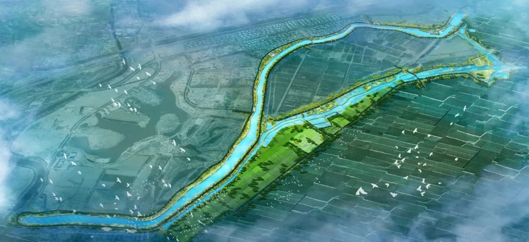 天大设计院设计者,天大设计总院院长