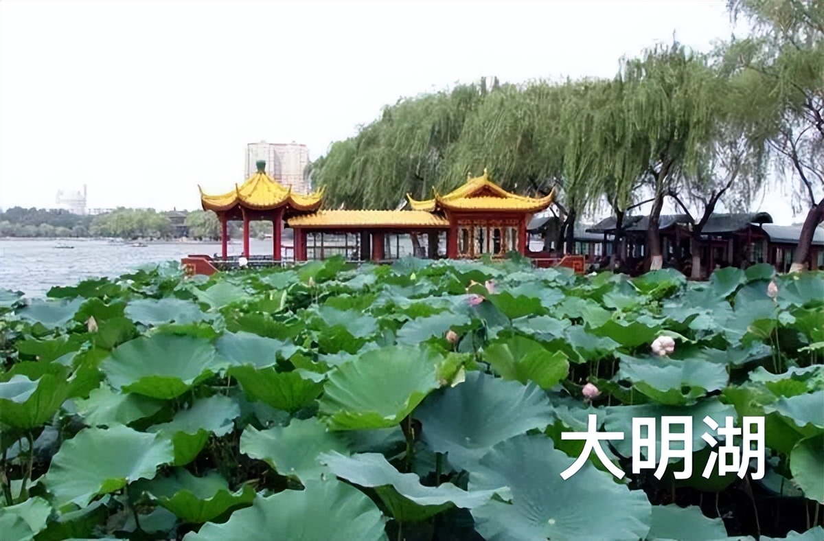 济南百脉泉公园游览日记,济南旅游百脉泉