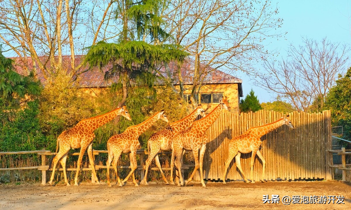 重庆旅游卡乐和乐都主题乐园,重庆旅游生活卡主题乐园
