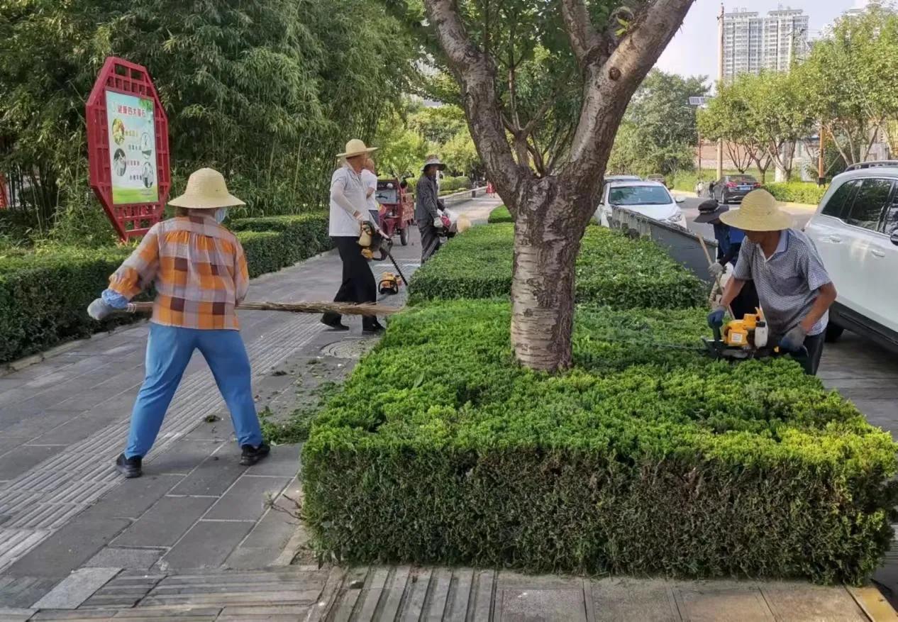 宝鸡城市建设效果图,宝鸡城市美观亮化