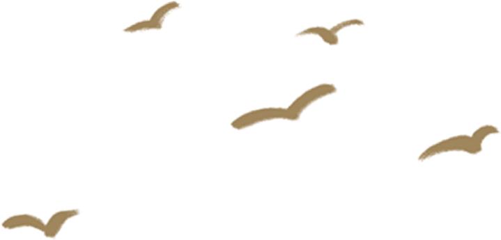 一起摘柿子,霜降人摘柿子的图片