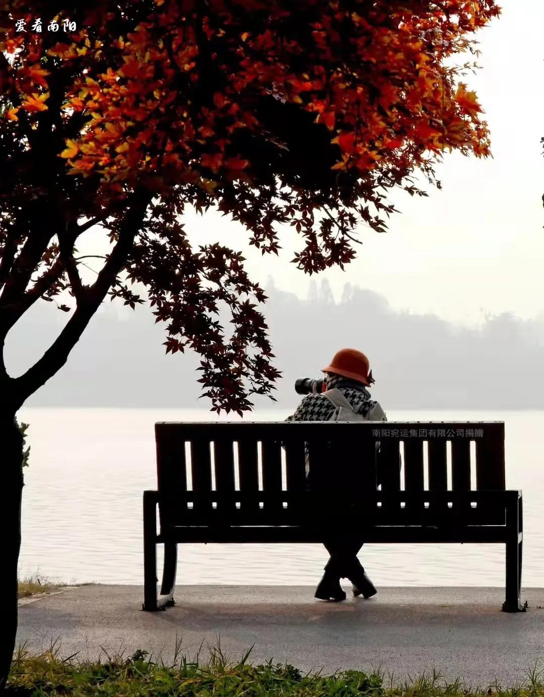 爱看南阳㉟你好2022，再见2021