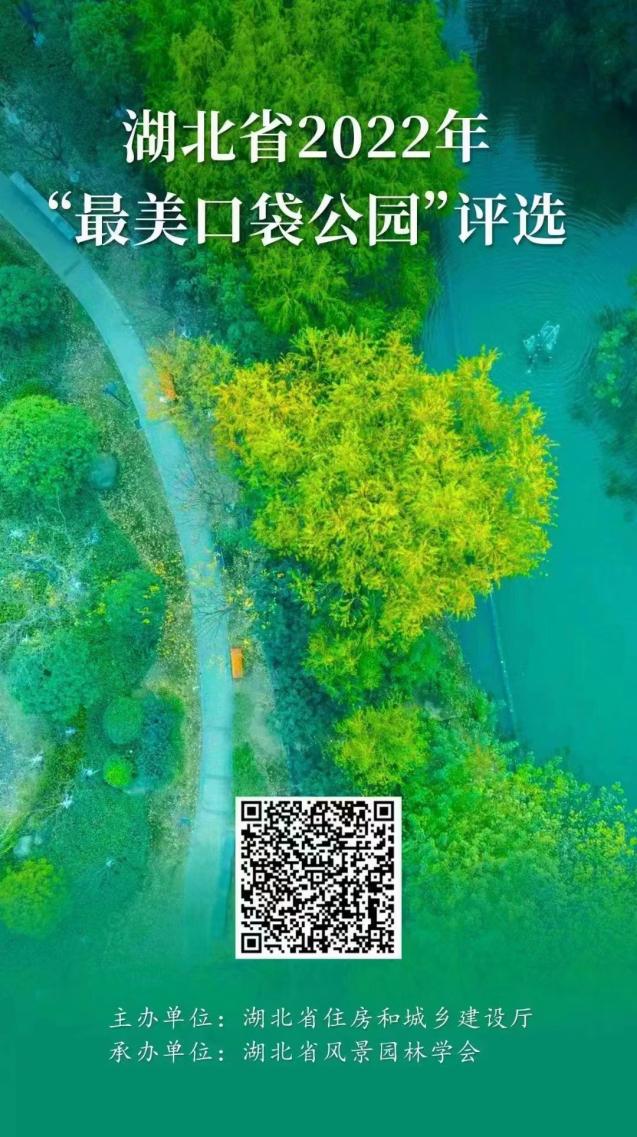 口袋公园生态美景,口袋公园小景观