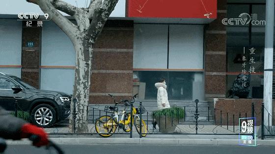 一口气八集!拿命换来的燃,果然是央视良心