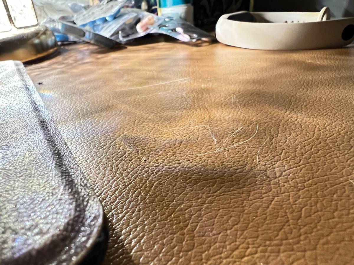 养猫得了过敏想继续养怎么办,养猫过敏怎么处理