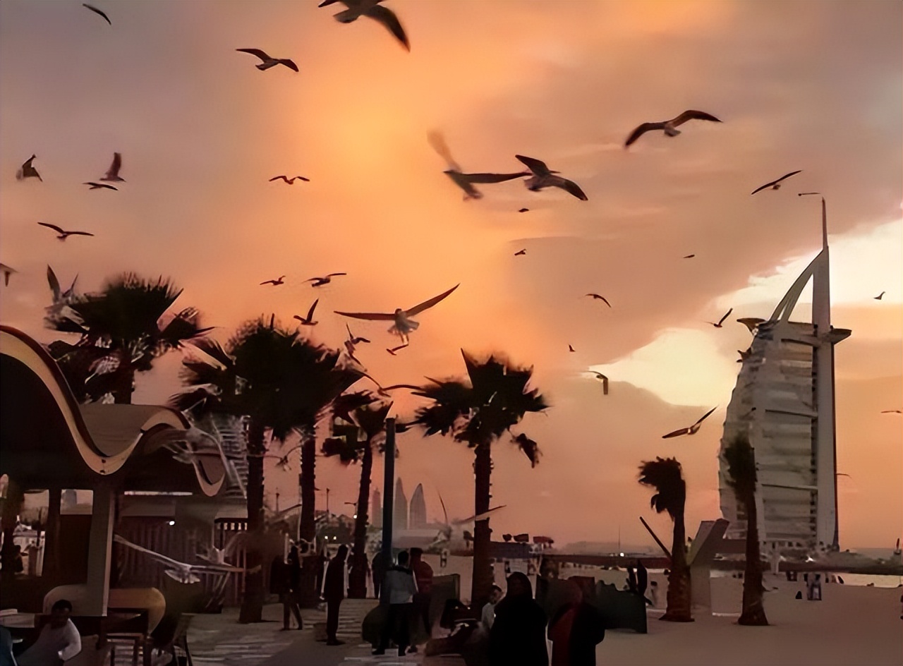 在迪拜打拼8年,在迪拜打工的河南人