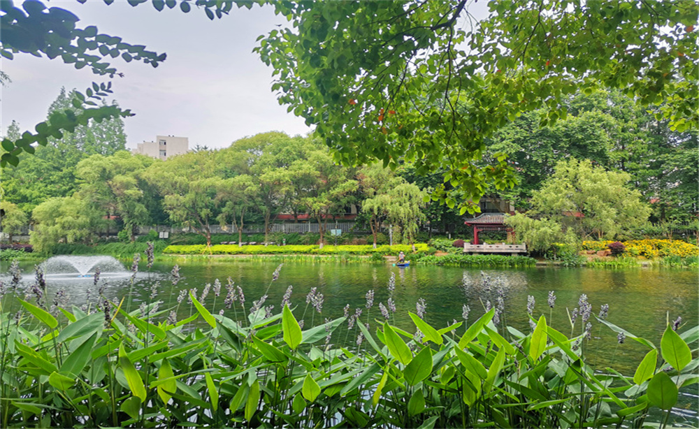 南京小西湖历史风貌,小西湖景区南京市江宁区