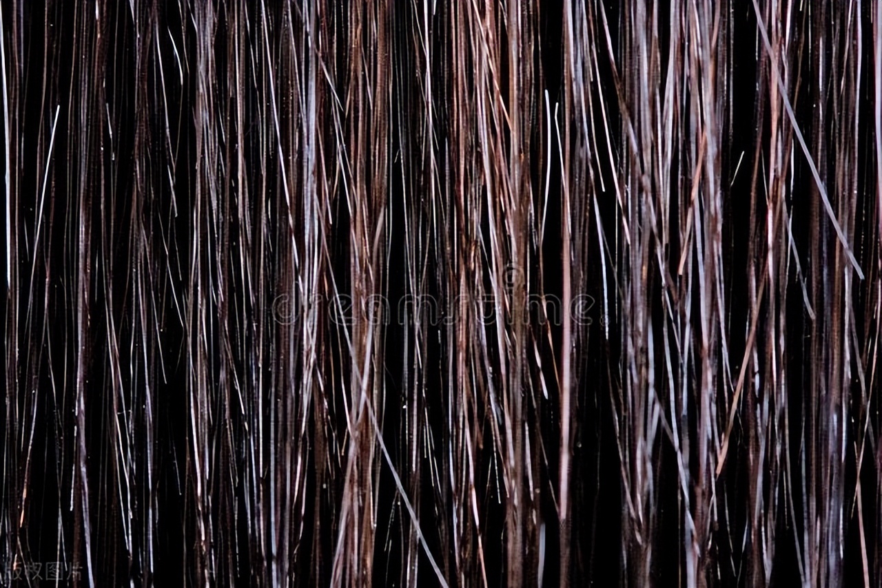 为什么有人“下面”没有毛？别害羞，了解私密处毛发的5种用处