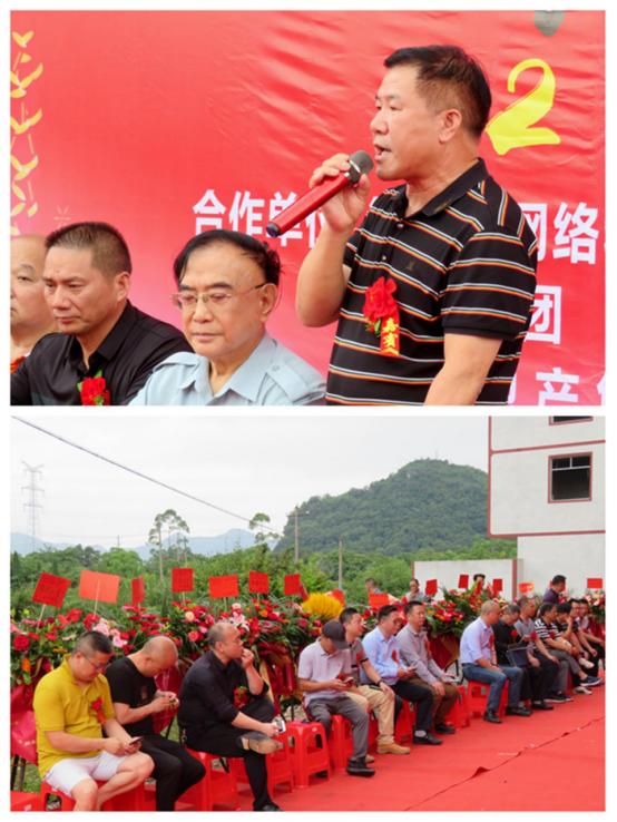 奇怪！夜莺白天欢唱，透过烟花弹幕，是怎样的留桂林“居八桂”