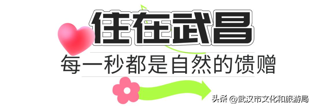 每次去都能让人有惊艳的地方,去一次特别美的地方