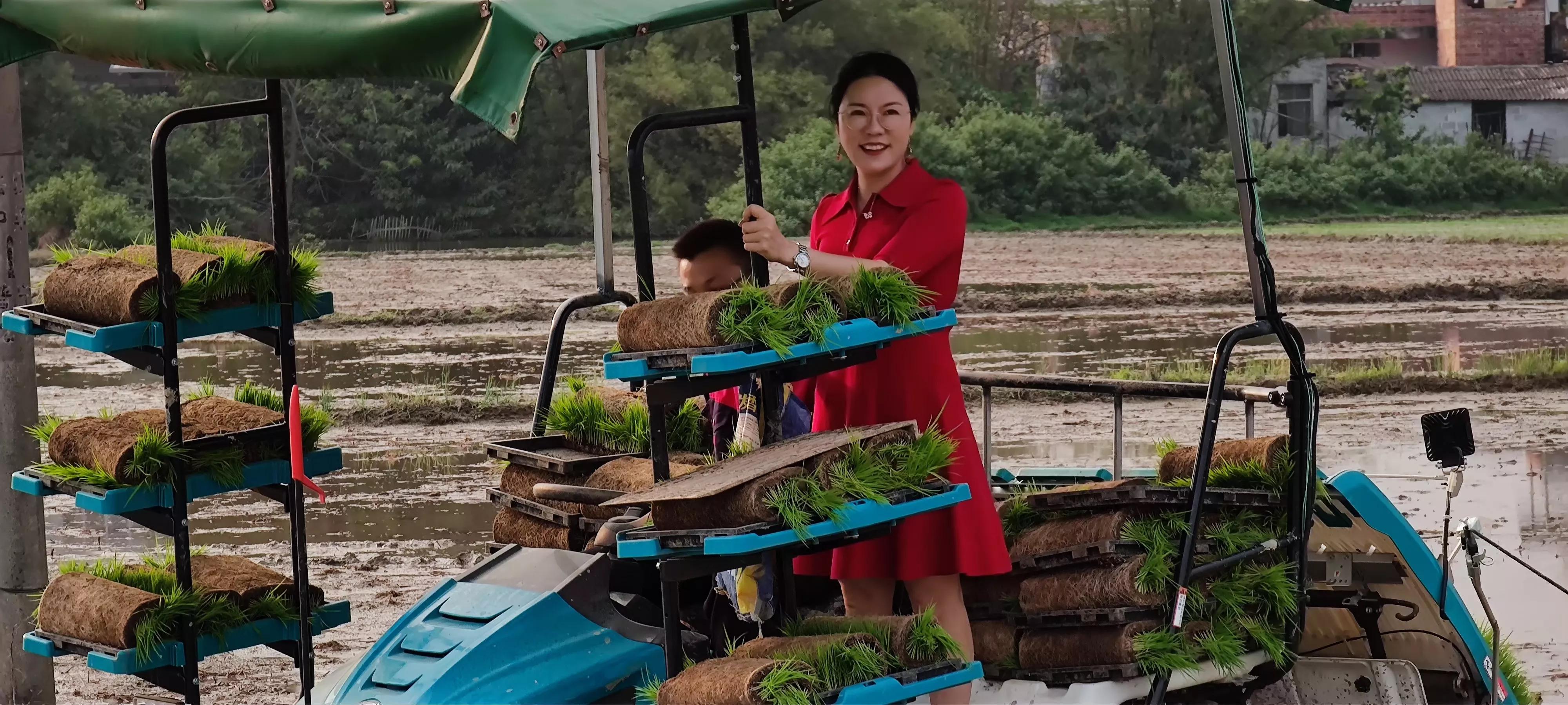 农联助力乡村振兴,联农助农乡村振兴