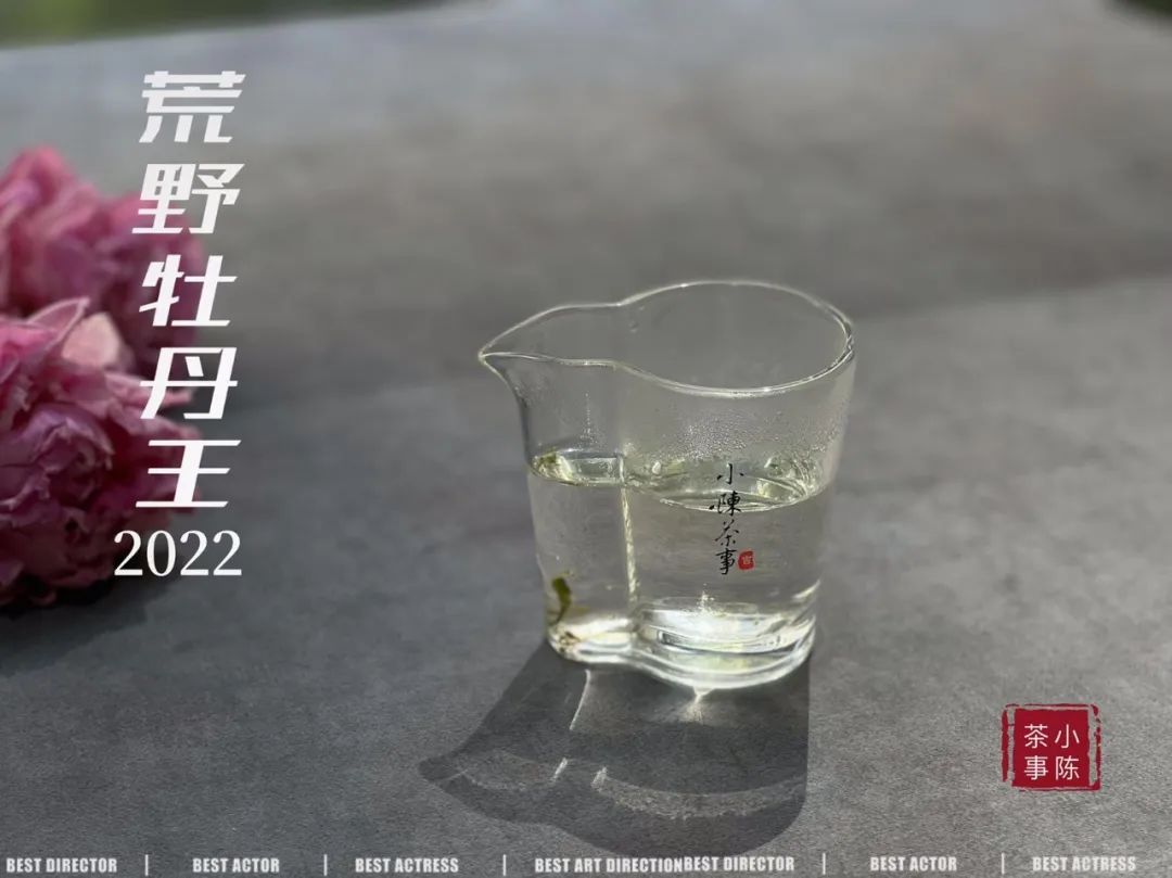 什么茶最适合夏天喝茶,夏天喝哪几种茶比较舒服