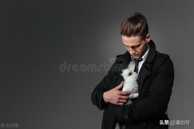 养宠物如何避免人畜共患病,饲养宠物如何预防宠物传染人疾病