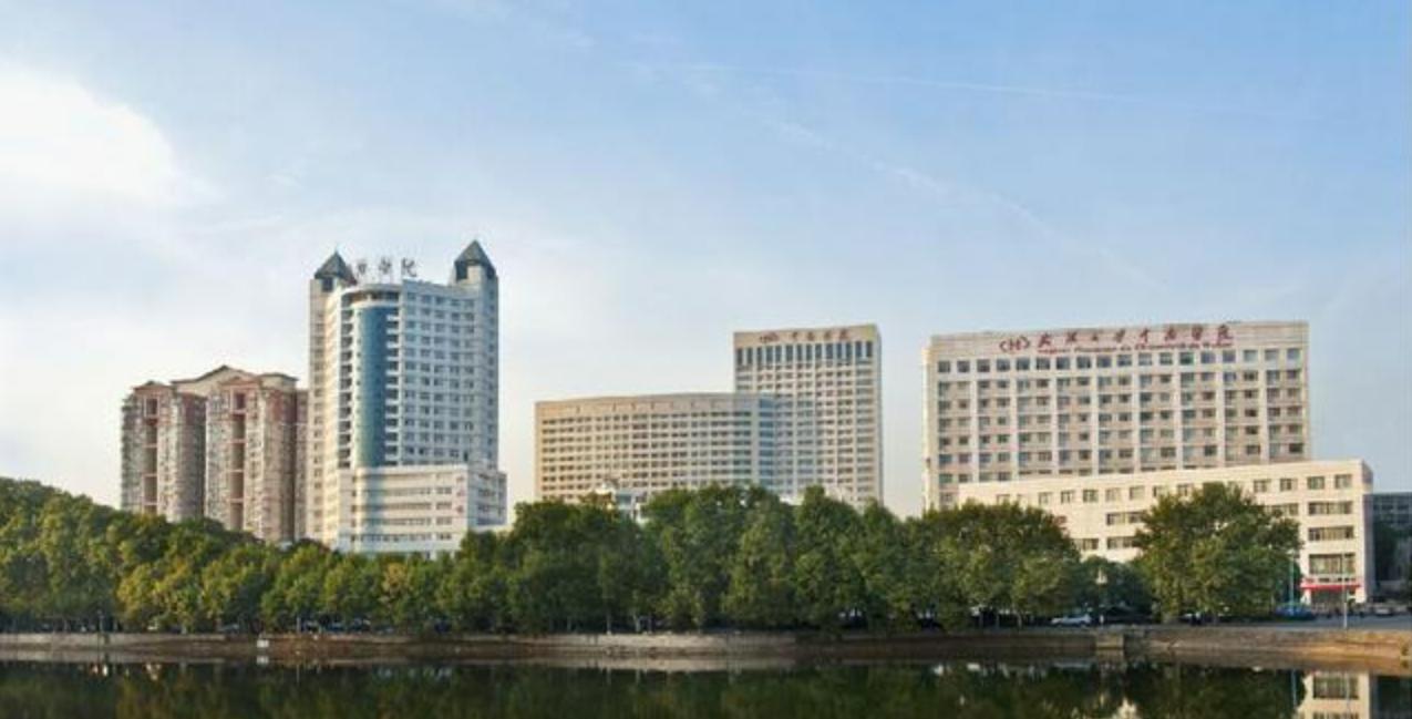 国内医学院校介绍之——武汉科技大学医学院