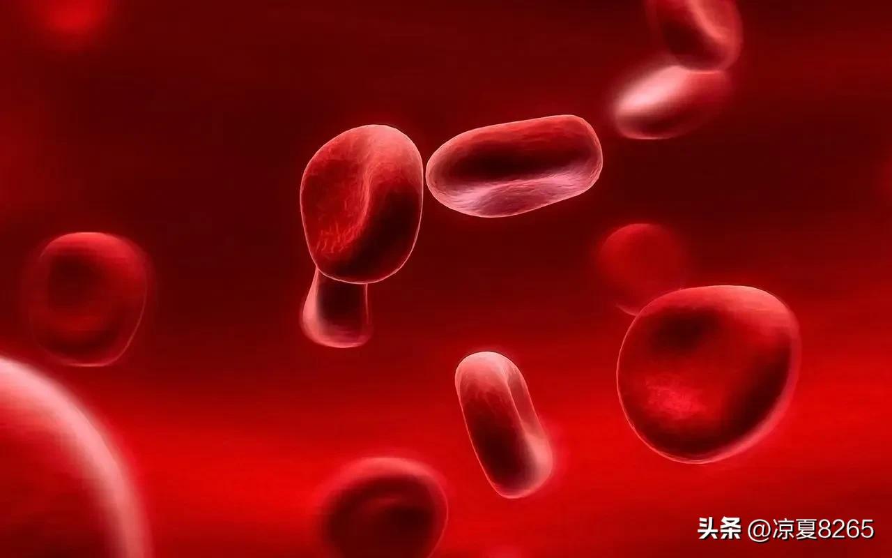 恐龙血型是个什么血型呢？