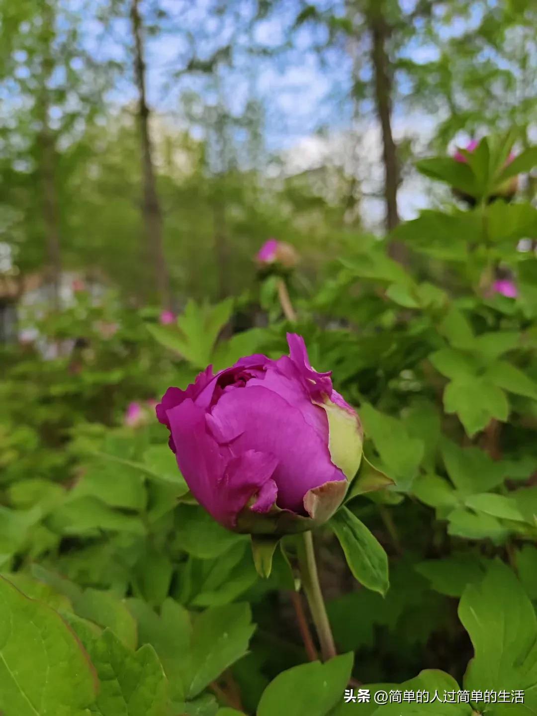 最好的亲子教育就是带孩子逛书店,周末带孩子逛书店也是一种方式