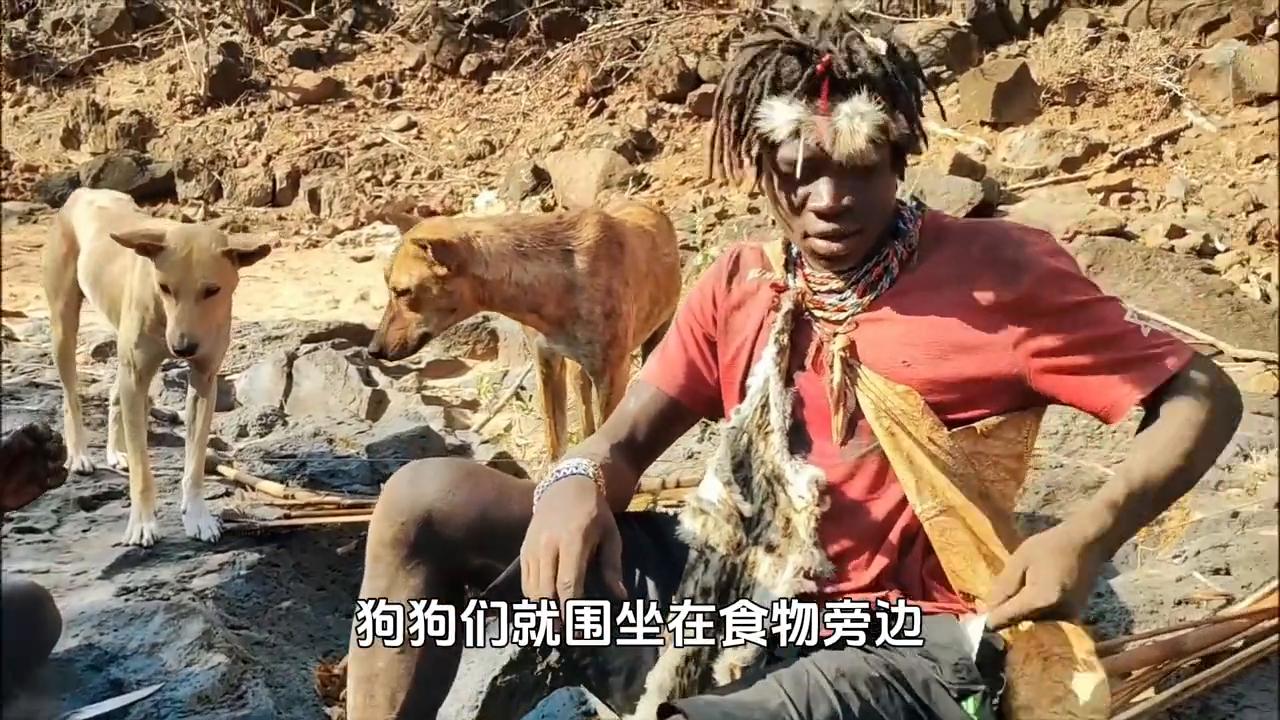哈扎猎人做什么工作的,哈扎猎人是做什么工作的
