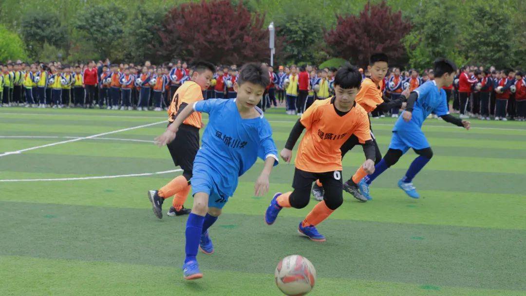 绿城足球文化节,阳光文化节篮球赛视频