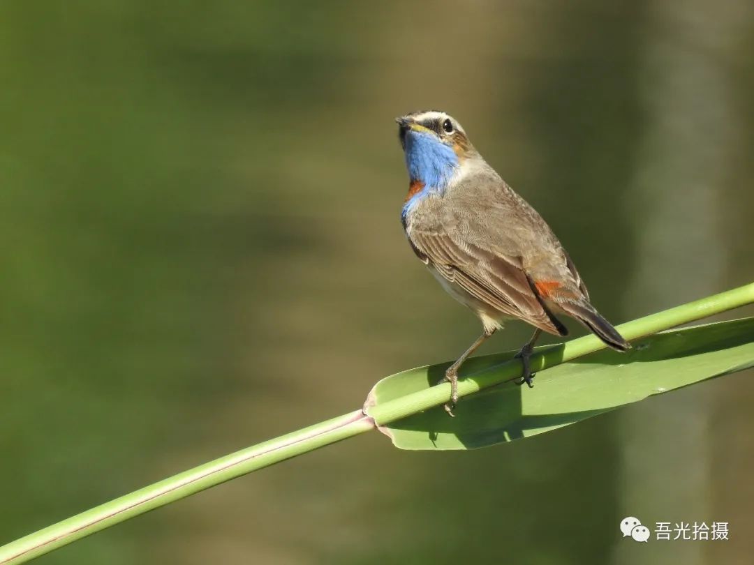 砂石坑什么时候挖出来,砂石石槽图片
