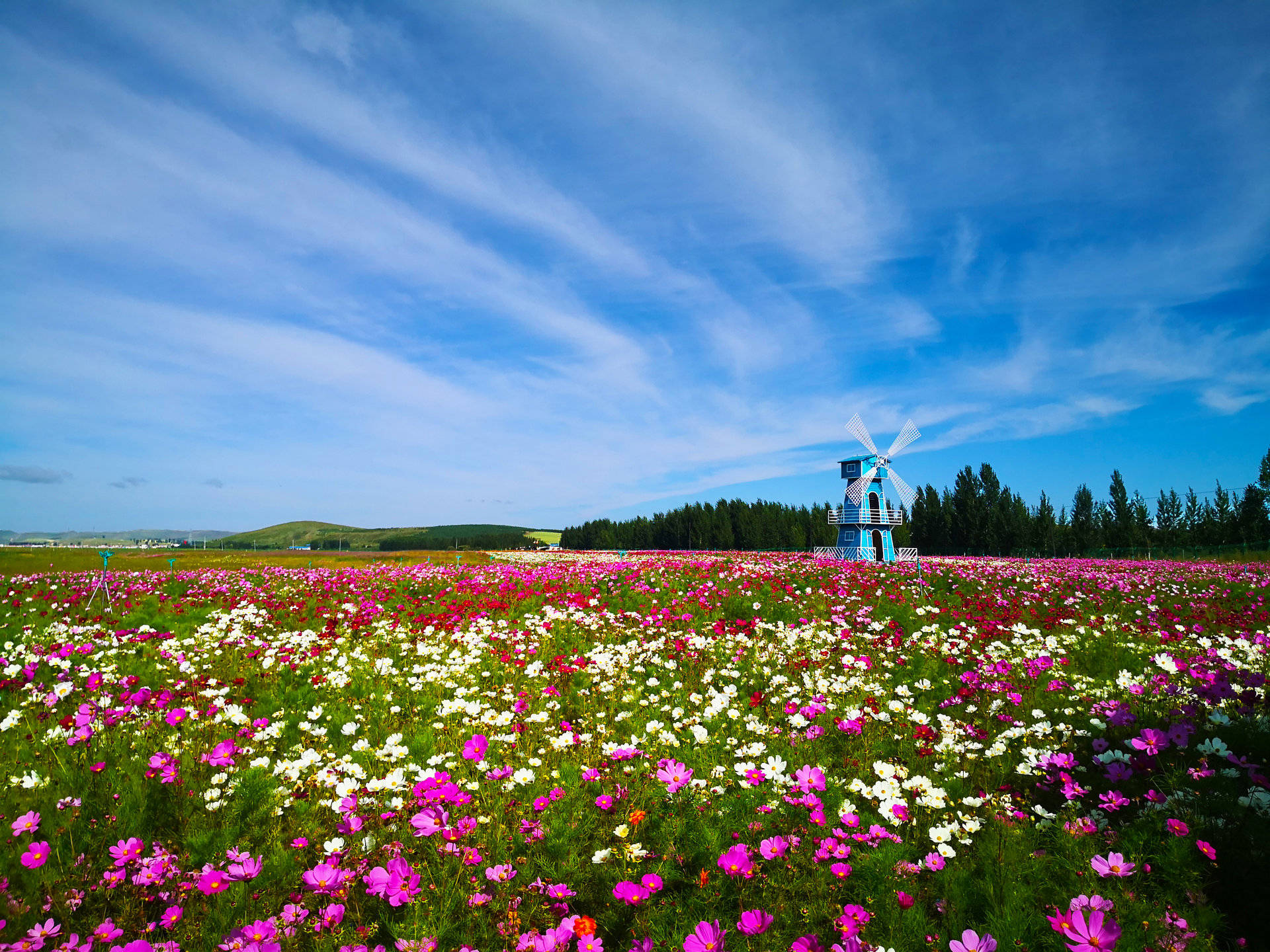 坝上草原最新旅行攻略图,坝上草原秋色旅游攻略大全