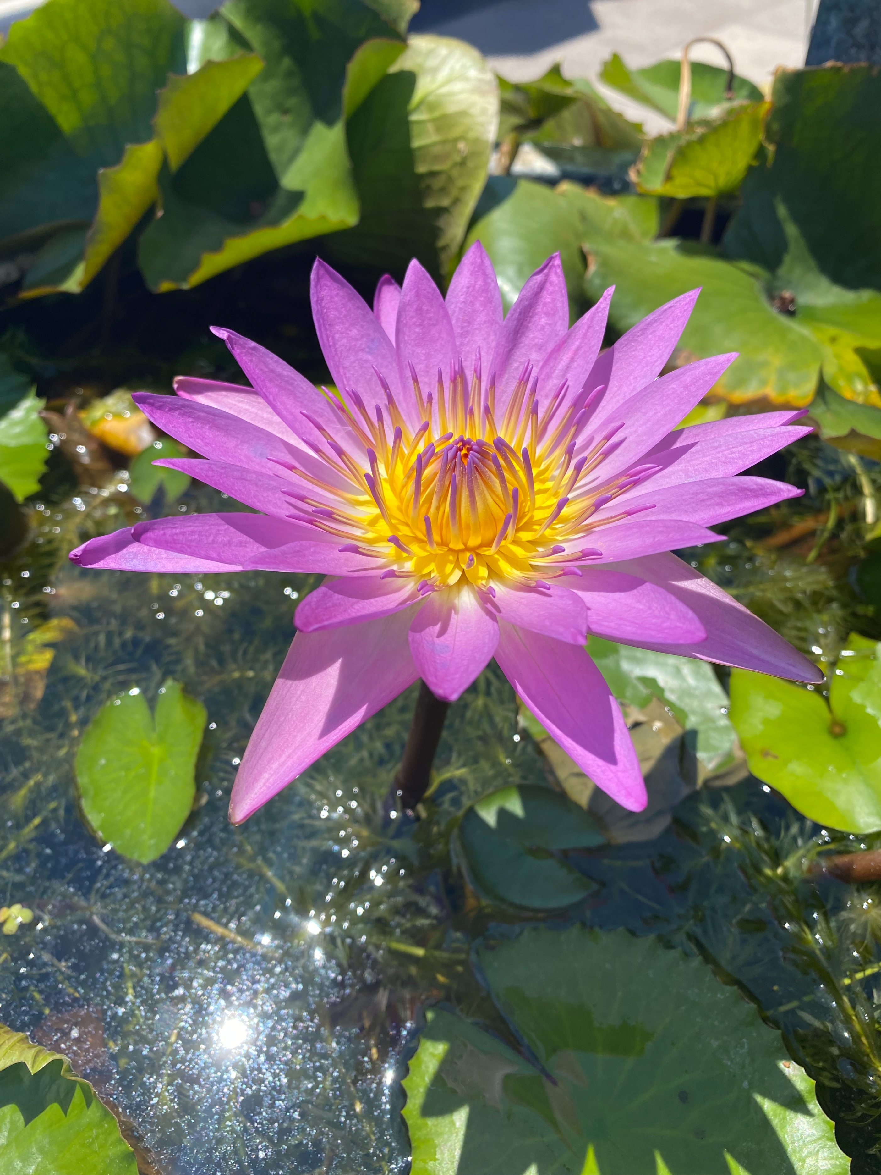 卷烟厂检验工累不累,卷烟厂的工作累不累