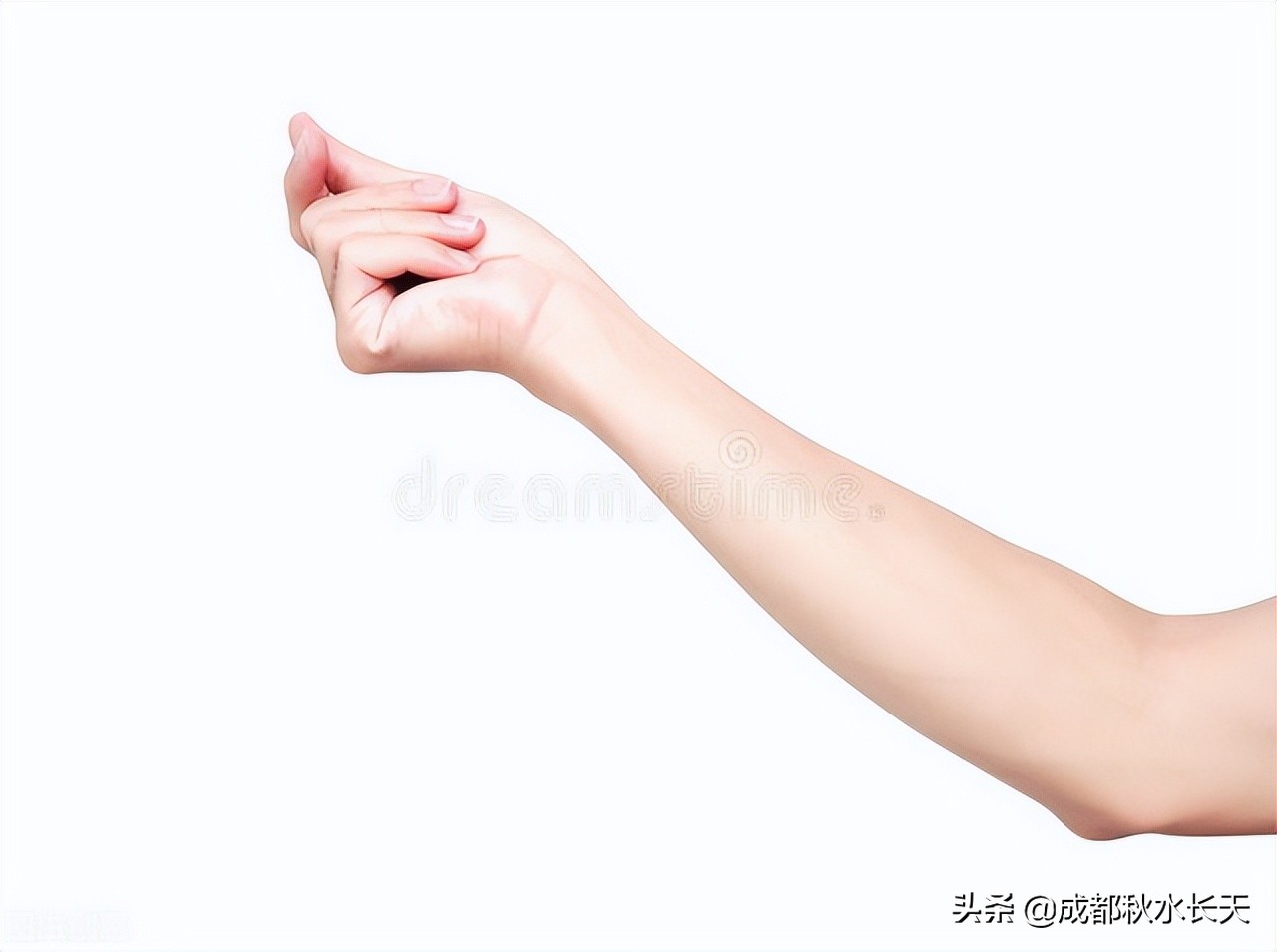 诗与远方原文及感悟,诗与远方深度分析