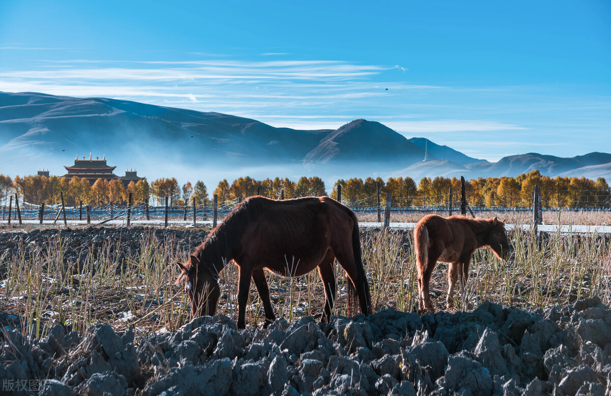 西藏和西北旅游攻略路线一样吗,藏西旅游