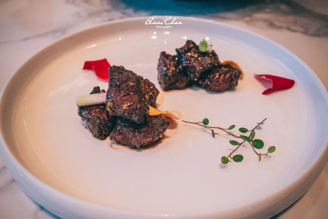 广东最新开业万豪酒店,新开业万豪酒店