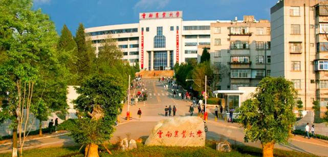 云南大学是一所双一流吗,云南大学一所重点的双一流高校