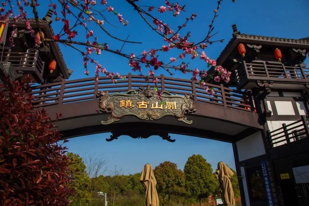 端午赛龙舟长沙,端午长沙旅游攻略美食攻略