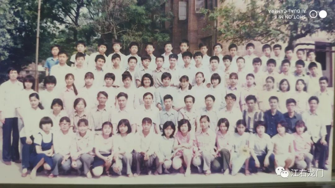 一枝一叶总关情原文,一枝一叶总关情全诗朗诵