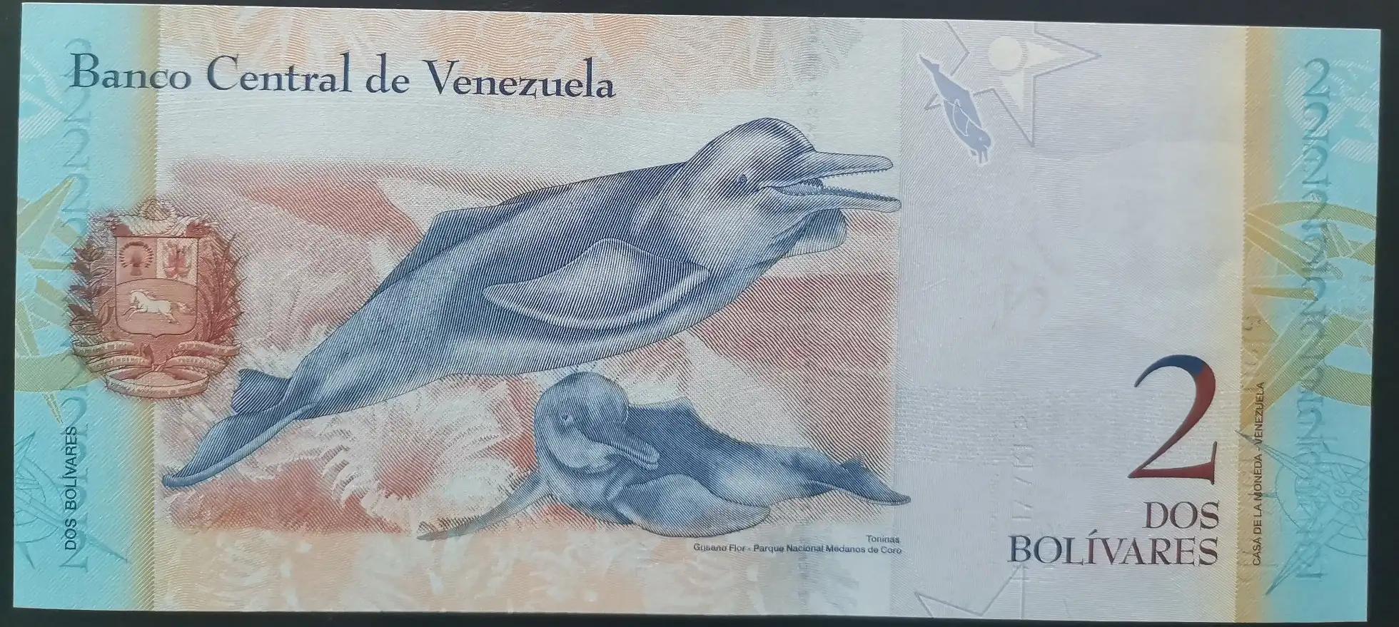 委内瑞拉纸币视频,委内瑞拉纸币简介