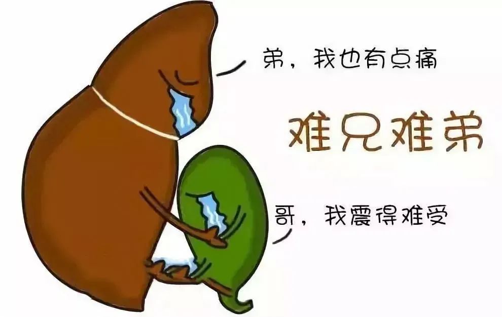 钬激光胆结石,胆道镜如何清除胆管结石