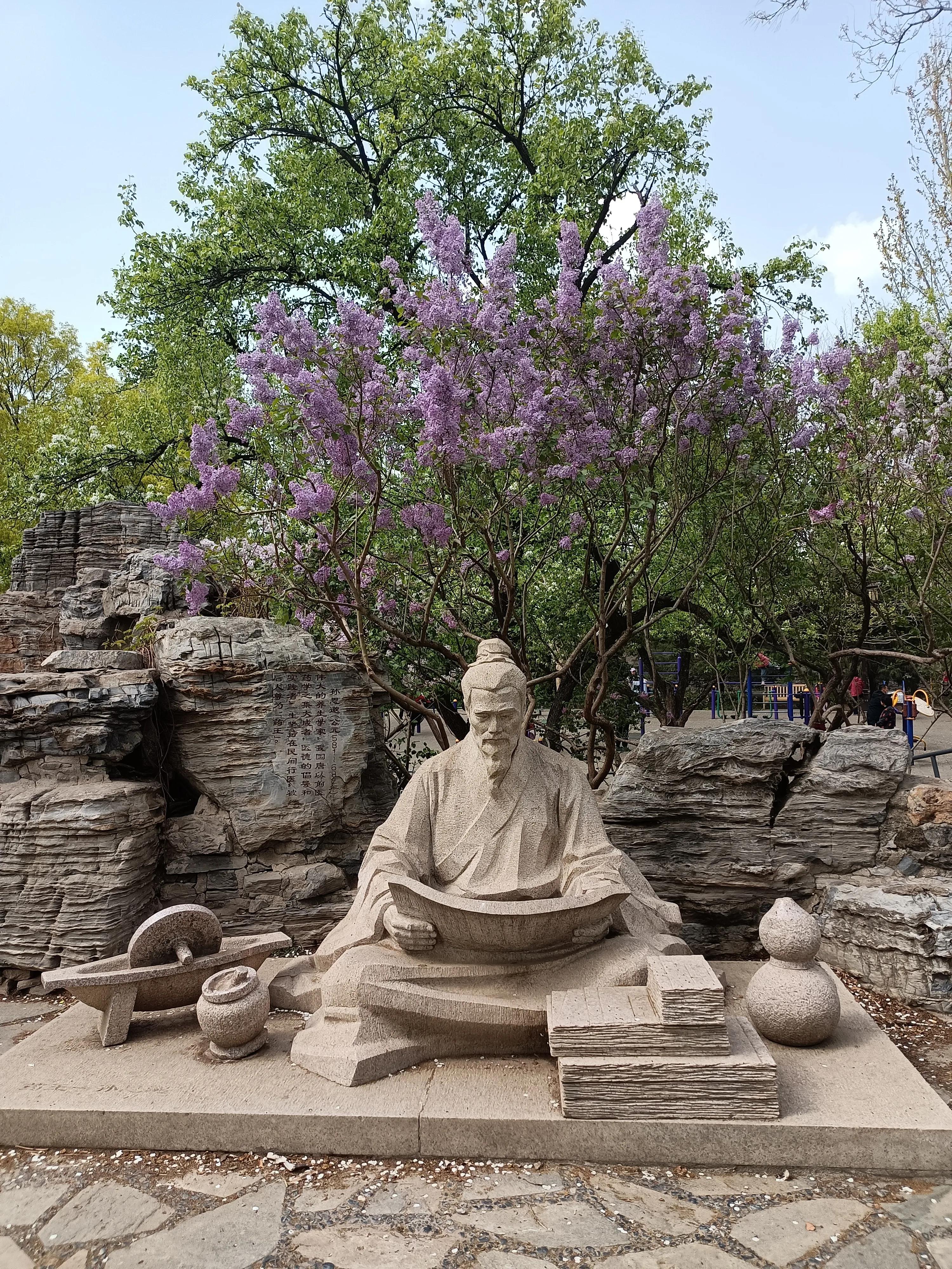 春天花开满园，梅花富贵险中求，心情美美哒