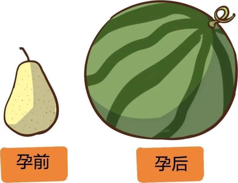 科普|人生第一所房子——“子宫”的恢复