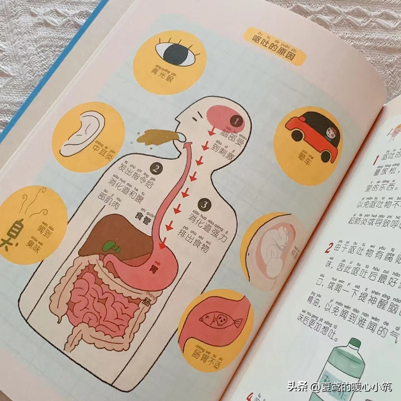 6-12岁儿童必读书籍注音,适合小学生看的注音科普类书籍