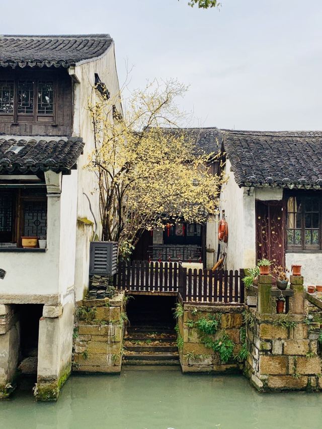 十一长假旅游景点推荐上海,上海一日游必去景点朱家角古镇