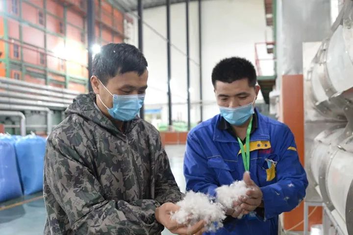 2019年羽绒行情的走势,羽绒出口