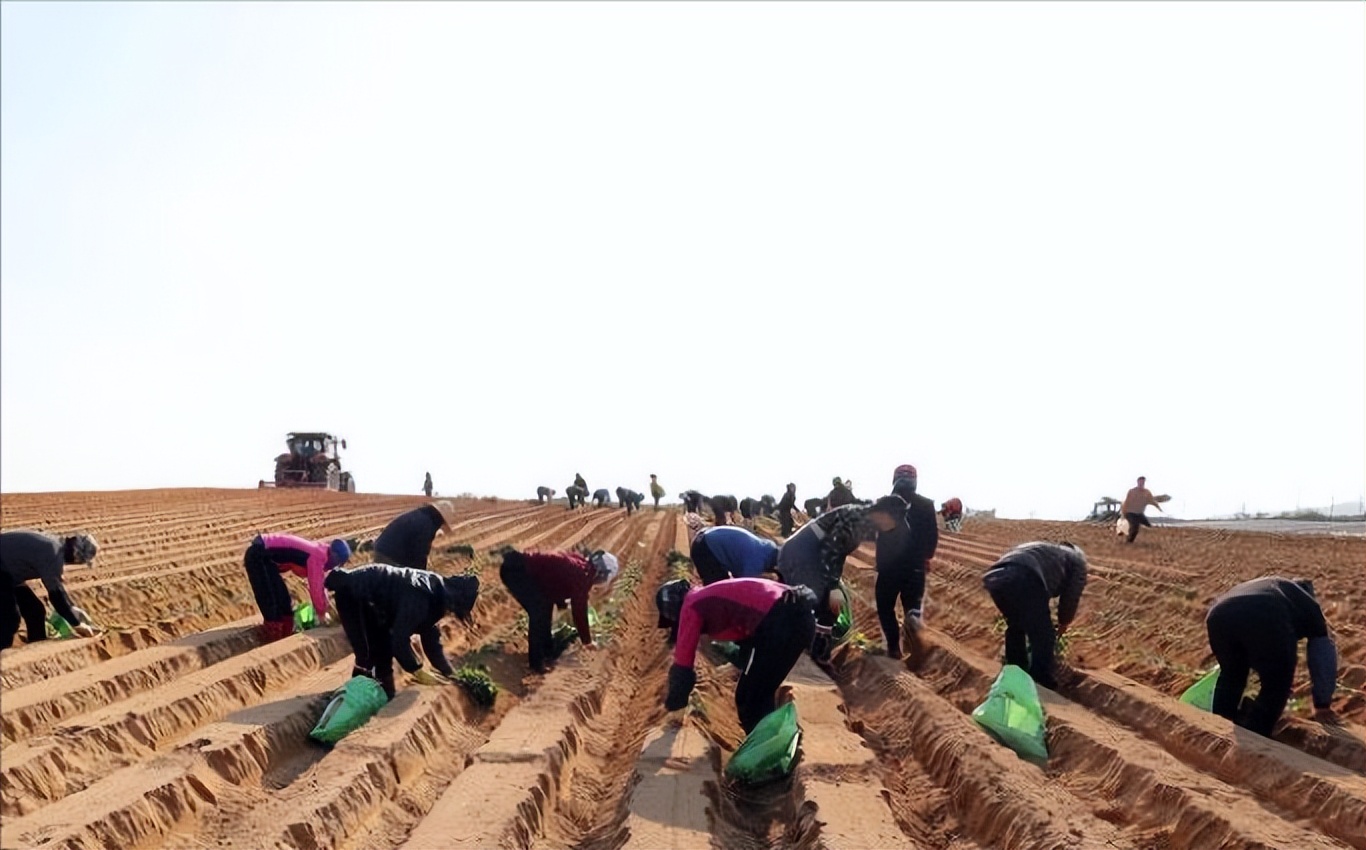 韩国普通民众吃不起肉,韩国人买不起的中国食物