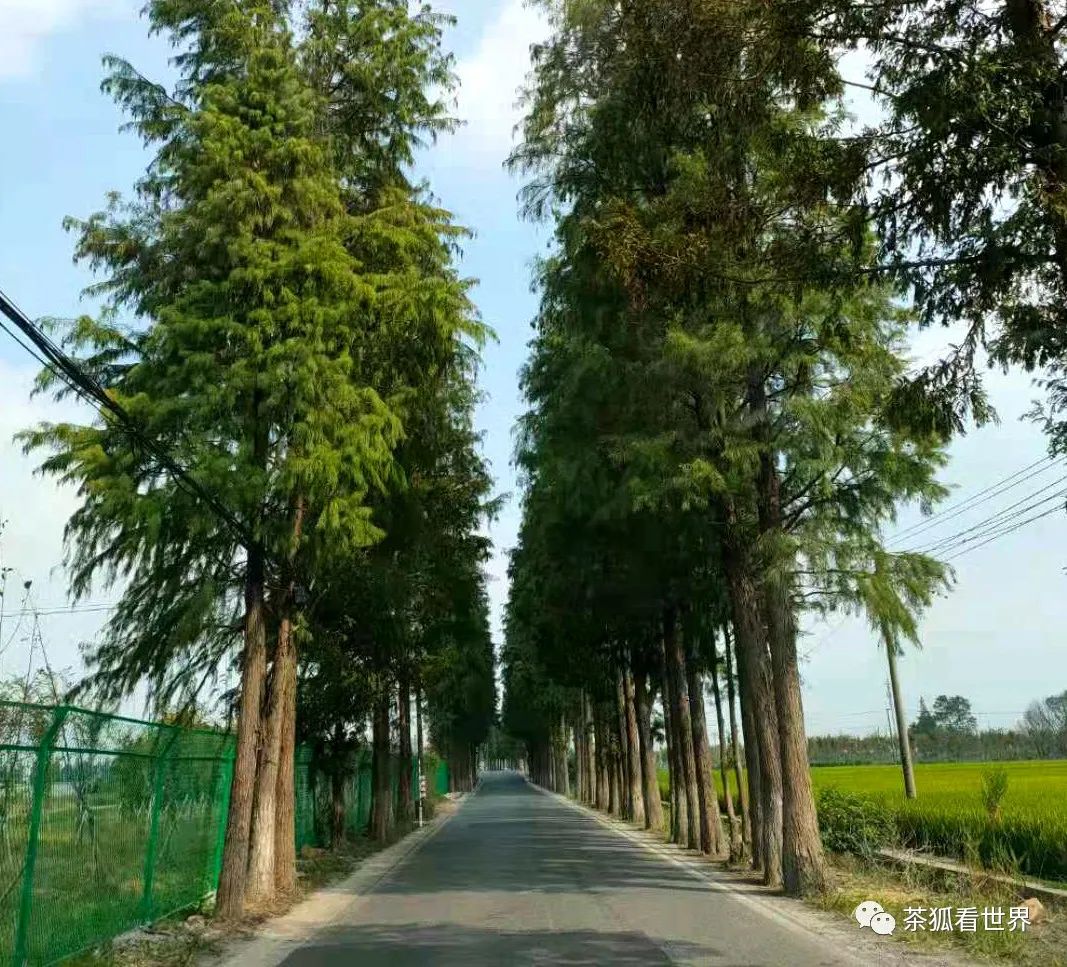 网友对比中美两国夜晚街头,从道路细节看美国经济的衰退