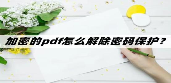 wps怎么解除pdf密码保护,pdf被密码保护怎么解决