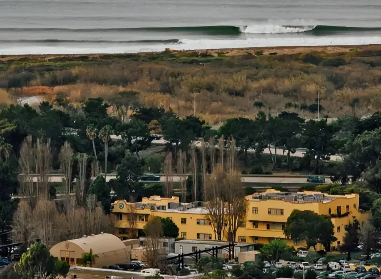 被卖狗贩的阿拉斯加,被卖的阿拉斯加
