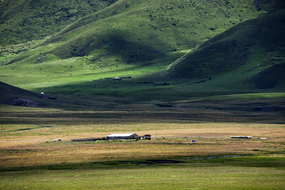 西部大草原旅游攻略,四川红原大草原自驾旅游攻略