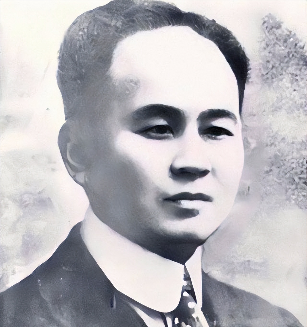 湖南最能打仗的名人,湖南历史军事名人