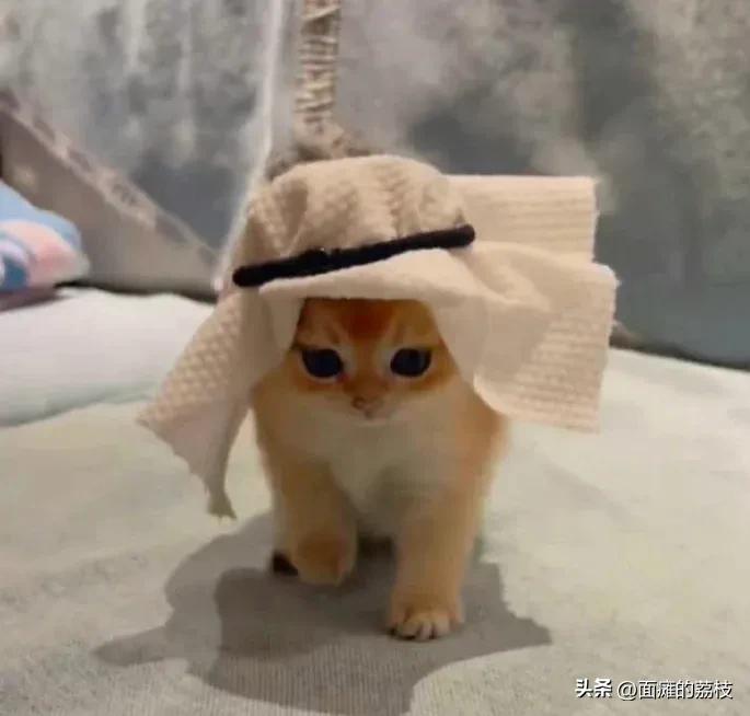 金晨被爆料,金晨现在过得怎么样